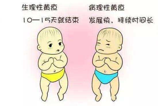 5a4d9737-af2a-4a62-81f4-c7060126b9a3.jpeg 5a4d9737-af2a-4a62-81f4-c7060126b9a3.jpeg